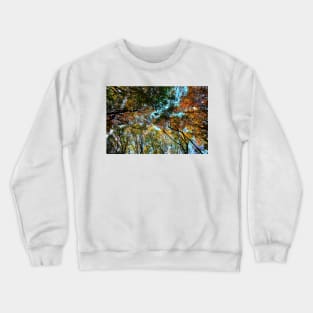 Plenty of beech trees trunks and branches with autumn colored leaves in Canfaito forest Crewneck Sweatshirt